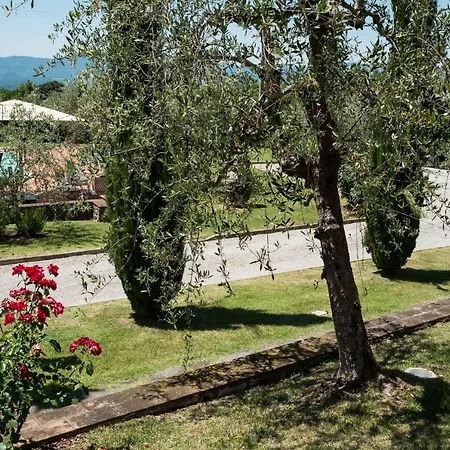 La Casa Delle Rose Terranuova Bracciolini