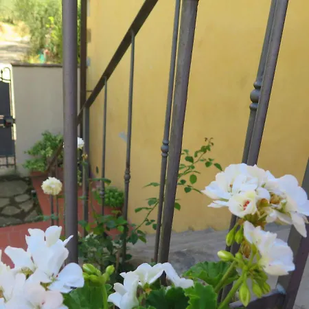 Holiday home La Casa Delle Rose Terranuova Bracciolini