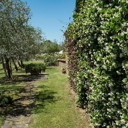 Holiday home La Casa Delle Rose Terranuova Bracciolini