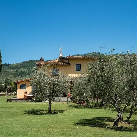 La Casa Delle Rose * Terranuova Bracciolini