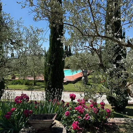 La Casa Delle Rose Terranuova Bracciolini
