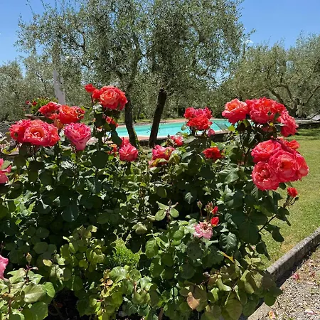 Dom wakacyjny La Casa Delle Rose